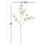 Meadowood Japanese Dodan Branch 50"