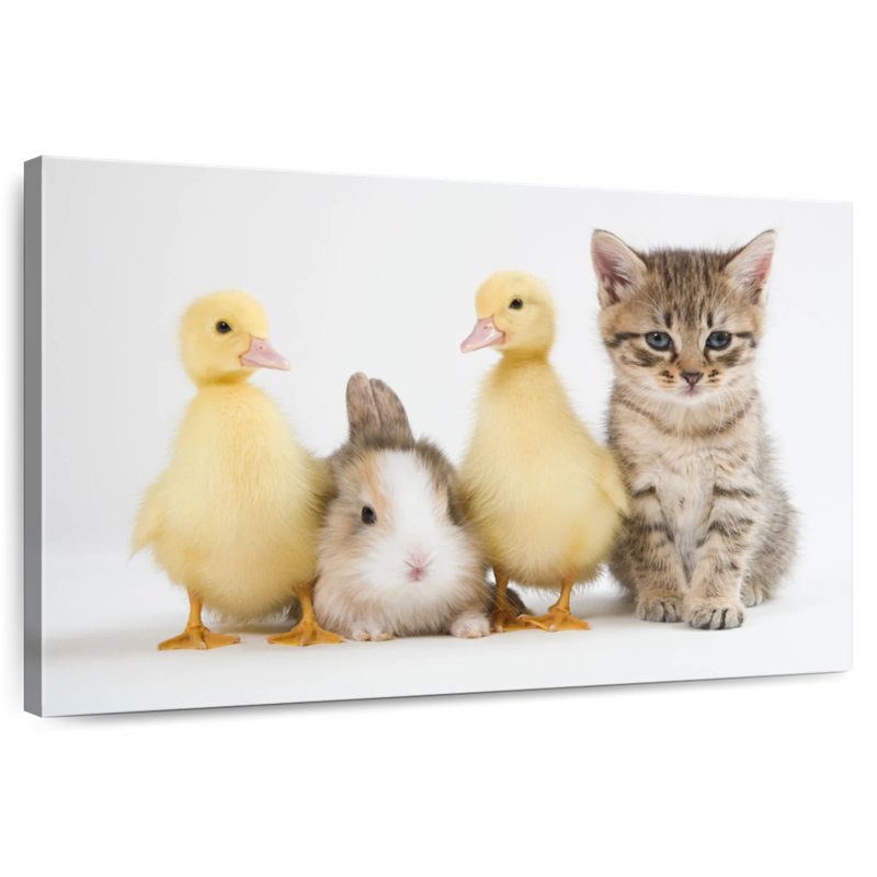 Chaton Brampt avec canetons et lapin, H 34 po x l 51 po