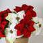 Poinsettia Faux Floral-644649063