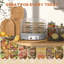 HOMCOM 5 Tier Food Dehydrator 245W Adjustable Temperature Control-121604994