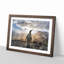 King Penguin - Picture Frame Painting Print-56705117-56705119