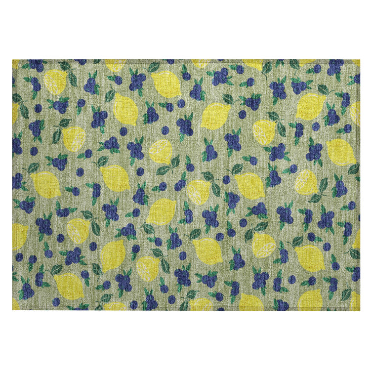 Machine Washable Indoor/Outdoor Bourkelands ACN2354 Fruits Rug
