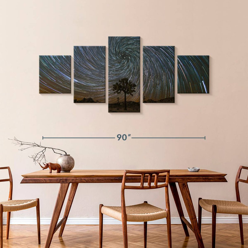 Joshua Tree Star Trail, 42" H x 92" W