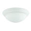 Guadalupe Acrylic Flush Mount-21430675-100098247