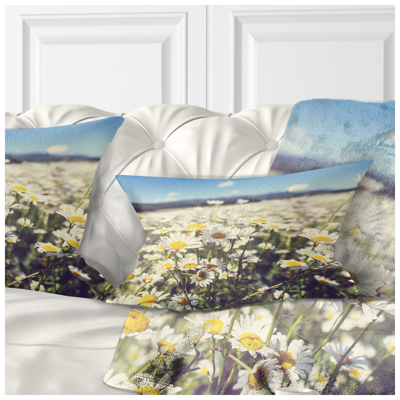Coussin Mountain