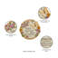 Wish Givers Butterflies and Floral Memorial Garden Stepping Stone