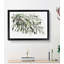 The Olive Branch - Framed Print-55611683-55611686