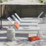 Ensemble de chaises longues inclinables de 76,5 po Petrie