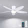 Ventilateur de plafond encastré 36/42/48 po à profil bas avec éclairage et télécommande
