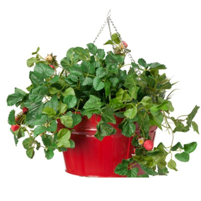 Enameled Galvanized Steel Hanging Planter
