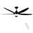 56 Inch Indoor Black Ceiling Fan With Light