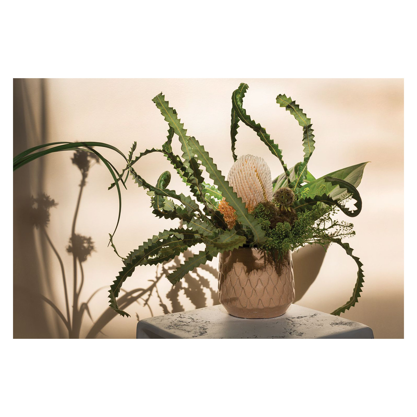 Everest Ceramic Pot Planter
