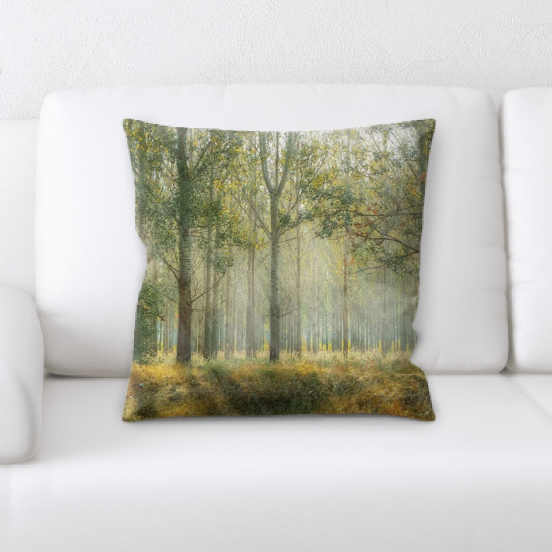 Coussin décoratif