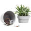 Ceramic Pot Planter
