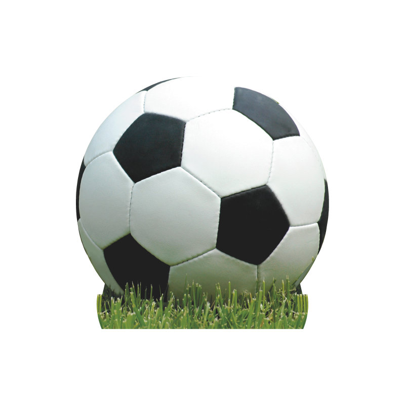 Ballon de soccer SP13439
