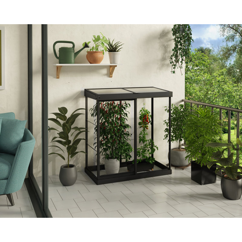 Palram Black Polycarbonate and Aluminum Mini Greenhouse