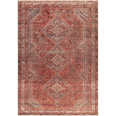 Hemmer Machine Washable Indoor Area Rug