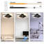 Ivy Bronx 3-Light 33cm LED Integrated Flush Mount-78709612
