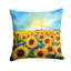 Coussin Kansas-114457354