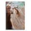  «Rustic Reverie» par Petra Meikle de Vlas, art mural en verre acrylique, 24 po x 36 po-645803109