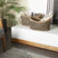 Ensemble de 2 paniers en ruppie maritime