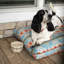 Napper toutes saisons Pendleton-114397750-129903477