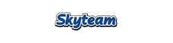Skyteam Technology logo