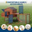 Chicken Coop