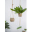 Olton Hanging Planter