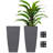 Hymie Pot Planter-1636968264