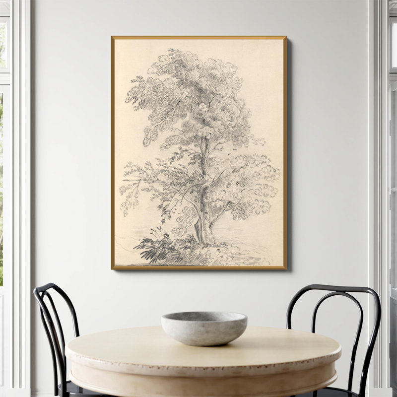 «Tree Sketch» par Wild Apple, Papier avec cadre unique doré, Non, H 48 po x l 36 po