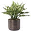Handmade Metal Pot Planter