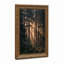 «Pine Trees with Golden Sunlight Through Mist», art mural sur toile-133063419