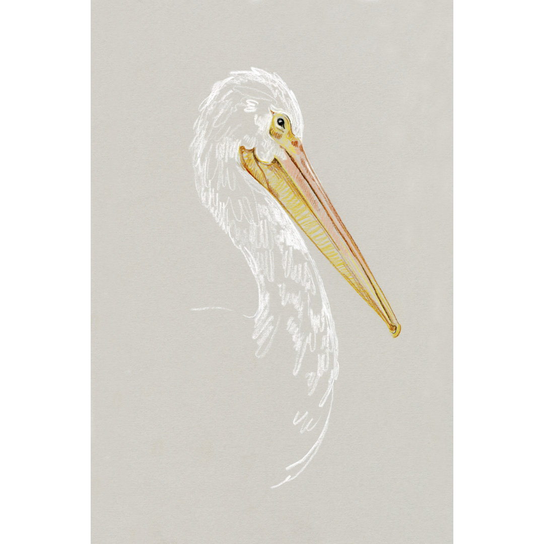 Leinwandbild Bright Pelican Sketch II