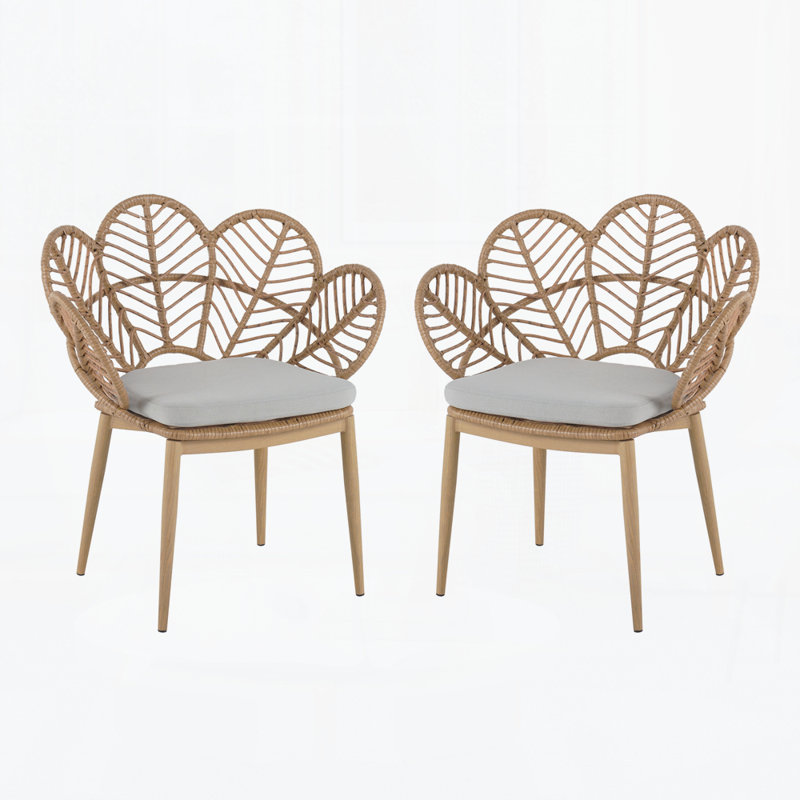 Chaise d'extérieur en osier, ensemble de 2