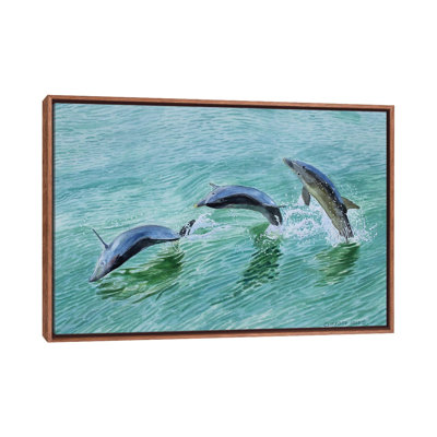 Dolphin Splash 1 Piece Floater Frame Wall Art on Canvas
