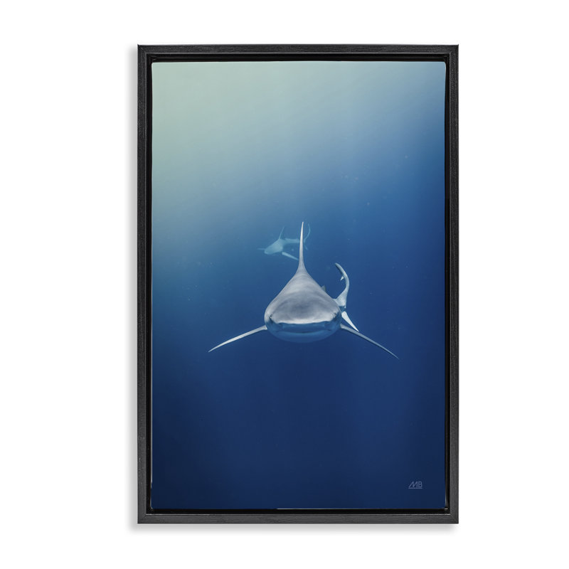  «Heads Up Shark Floater» par Max Blakesberg Studios, Cadre flottant noir de jais, H 25 po x l 17 po