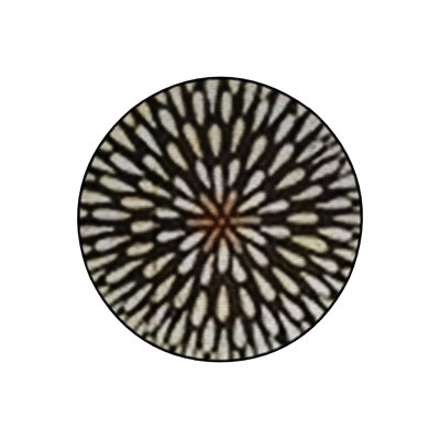 Beige Geometric Pattern Round Woven Base Modern Decorative Machine Washable Area Rug