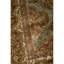 Wool Oriental Area Rug
