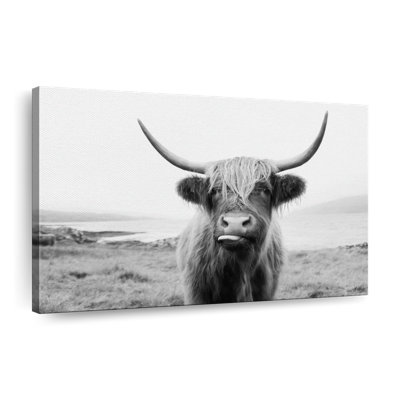 Drôle de vache Highland sur toile