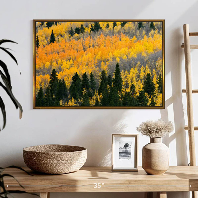 Colorado Aspen Wilderness, 25 po x 17 po, Cadre flottant doré