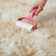 Allesha Standard Shag Area Rug