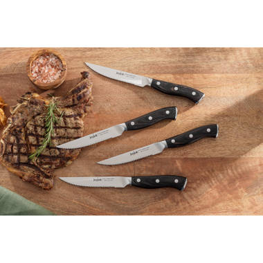 JoyJolt 11pc Kitchen Knife Set With Block. High Carbon, x50 German Steel  Knives. Chef, Bread, Slicing, Nakiri, Utility, Paring and Steak Knife Set