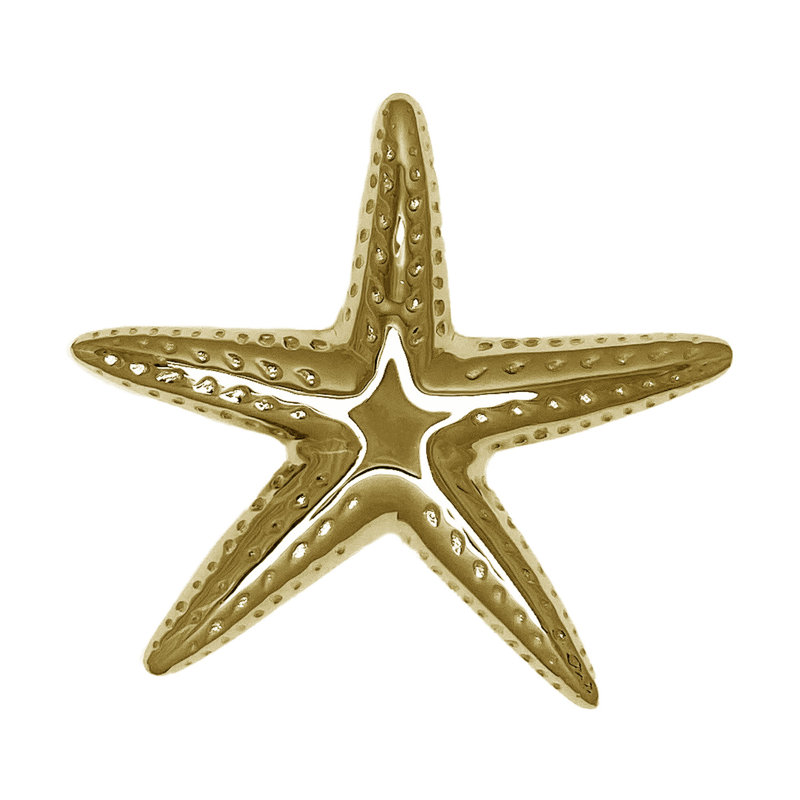 Heurtoir de porte étoile de mer, Laiton, 5,25 po x 5 po x 1,5 po