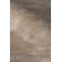 Pavo Tencel Chevron Area Rug in Beige