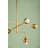 Luciel 6 Light Chandelier