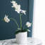 Pot de fleurs en céramique-930330492