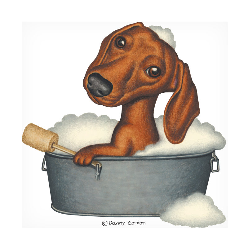 «Brown Dachshund Bubble Bath» par Danny Gordon, impression sur toile tendue, H 14 po x l 14 po x P 2 po