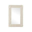 Turbinella Rectangle Wall Mirror