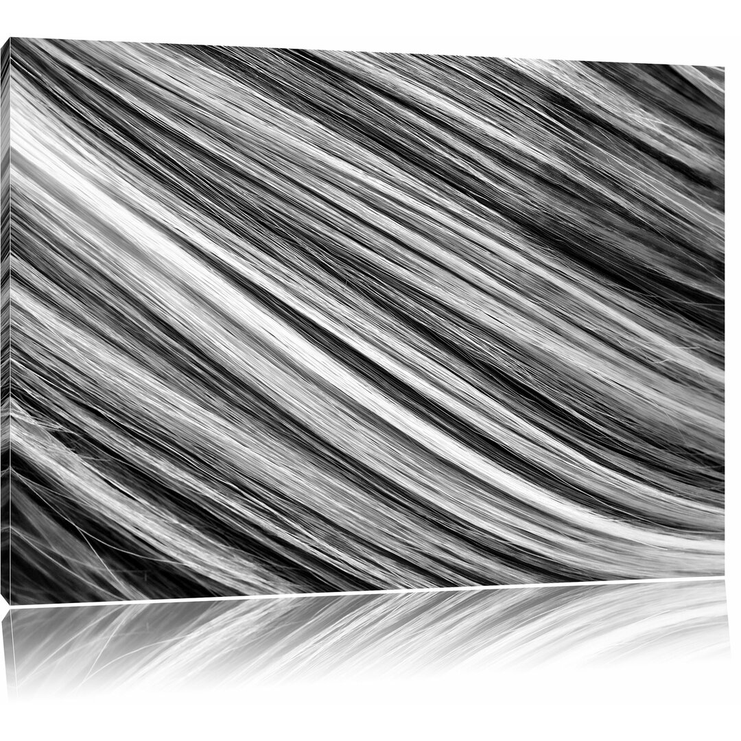 Leinwandbild Bunte Streifen in Monochrom